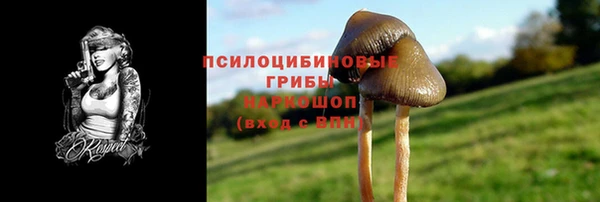 mix Армянск